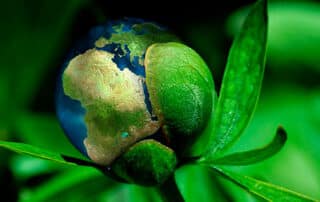 Medioambiente